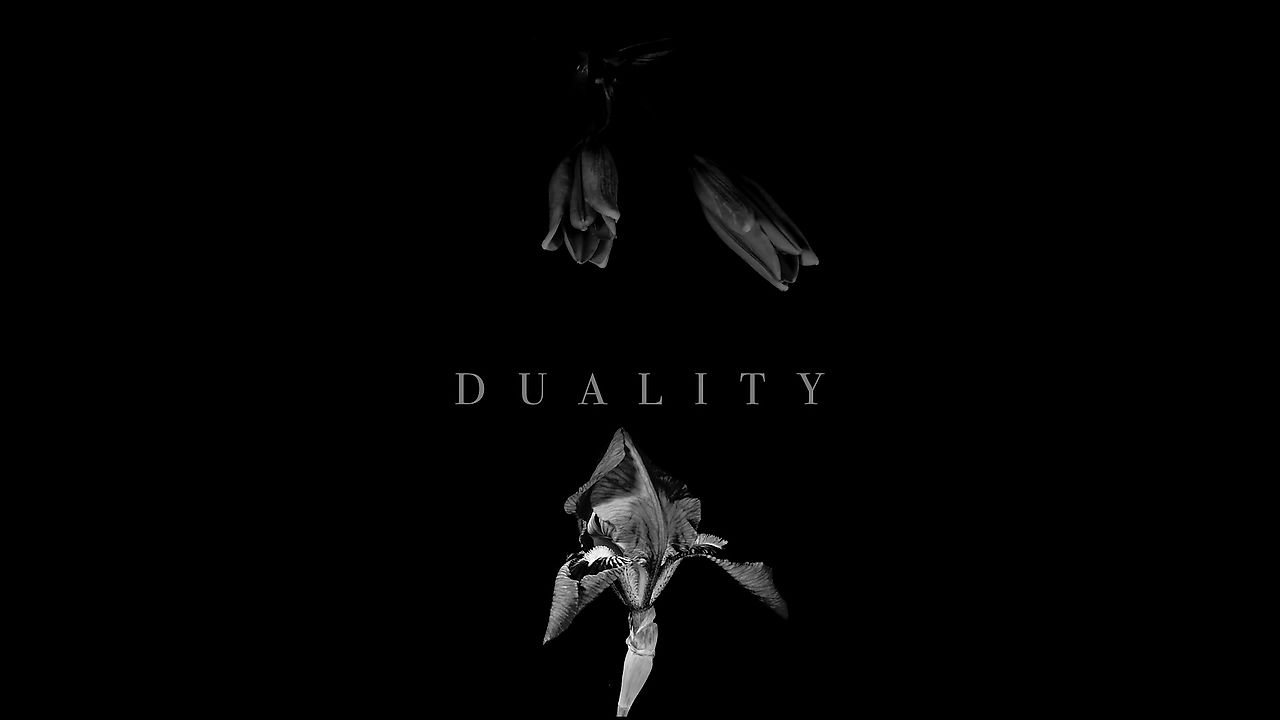 DUALITY | All Chapters